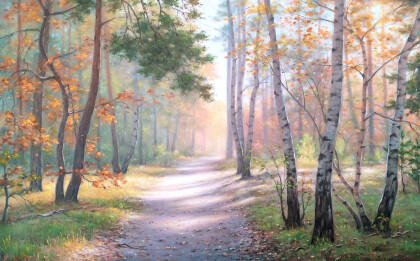 Дорога в лесу