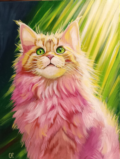 Розовое чудо