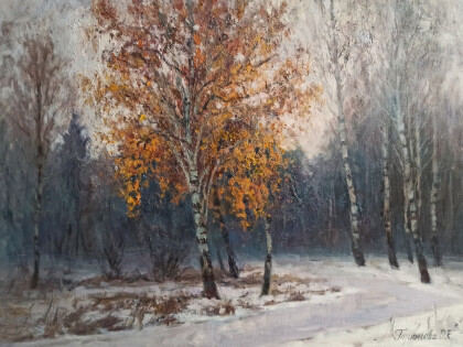 Ноябрьский снег