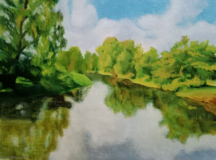 пейзаж с отражениями #1