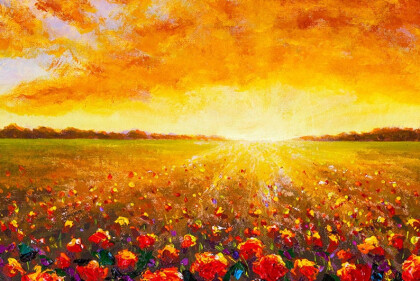 Цветы в закате