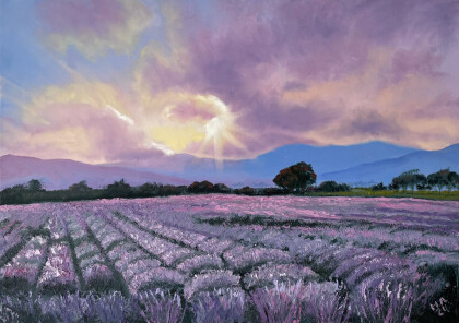 Лавандовые поля