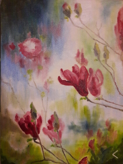 Гранат цветет