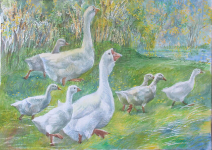 Гуси с Экофермы