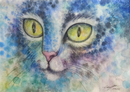 Хищный взгляд