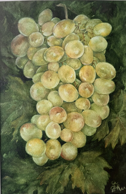 Виноградная гроздь