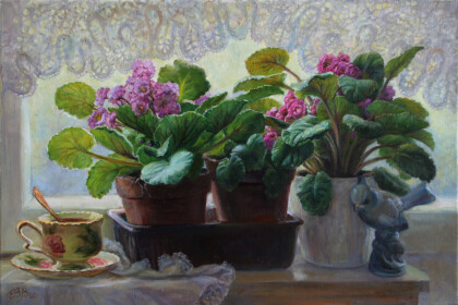 Комнатные фиалки