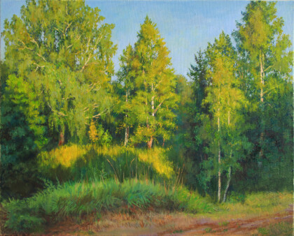 Березы вечером