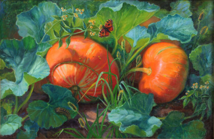 Тыквы в траве