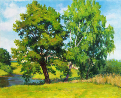 Дуб и береза