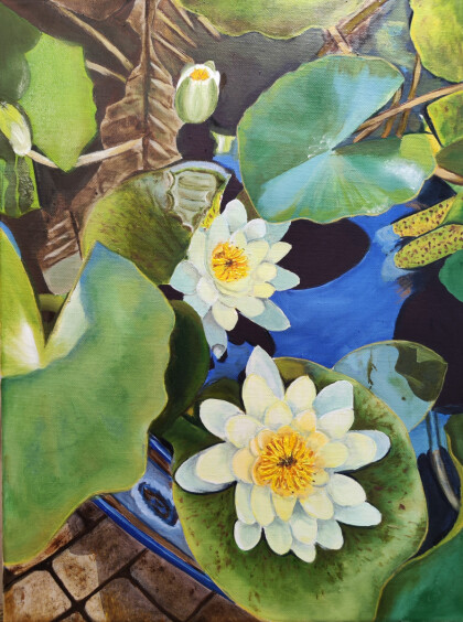 Жёлтые водяные лилии