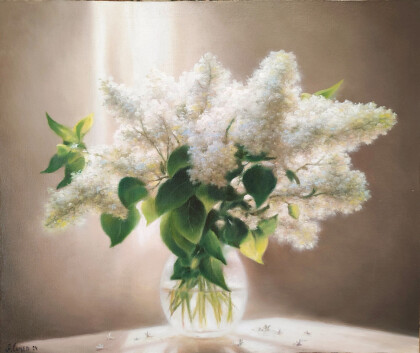 Белая сирень