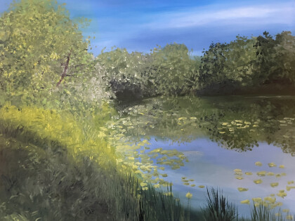 Пруд в парке "Кузьминки"