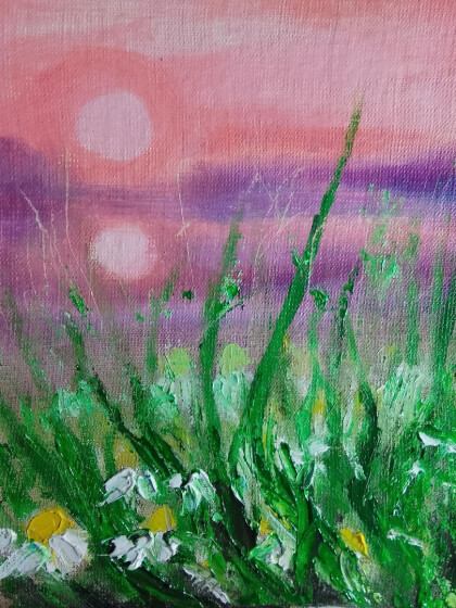 Ромашки на закате у реки