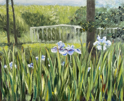 Ирисы в Петергофе