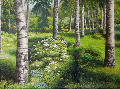 Летний день в Удельном парке