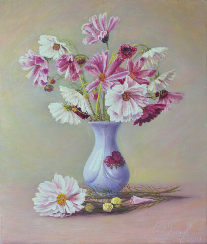 Нежные космеи.