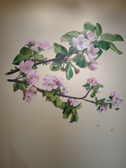 ветки яблони в цвету