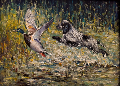 Веселый кокер.