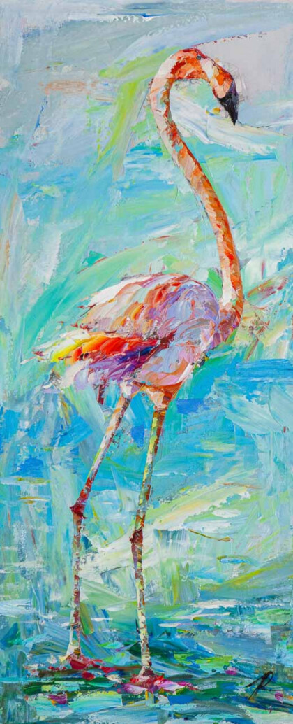 Фламинго. Прогулка по берегу