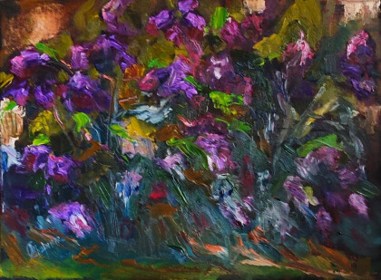 куст сирени