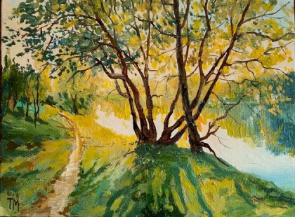 Солнечный день