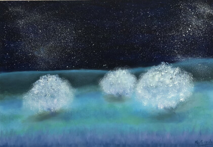 Деревья света