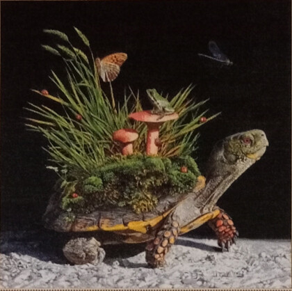 История жизни на земле