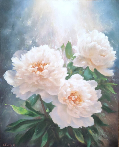 Белые пионы