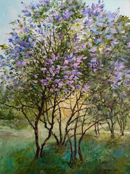 В зарослях сирени