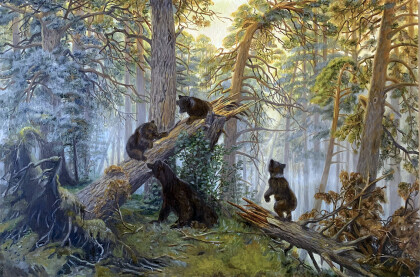 Утро в сосновом бору