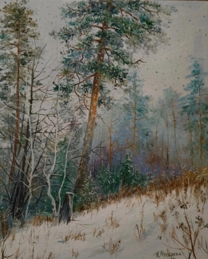 За снежной пеленой