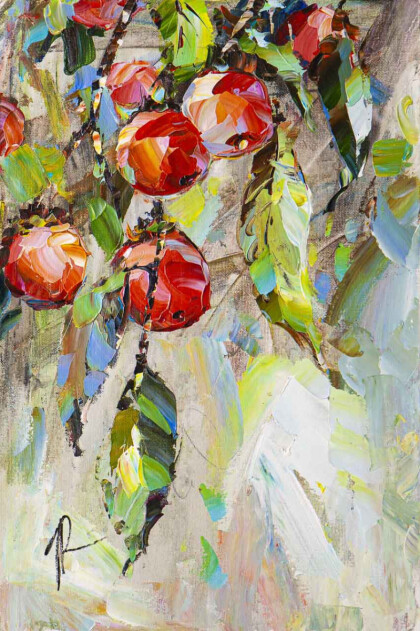 Яблоня. Пора собирать урожай