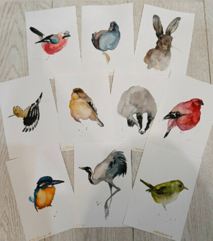 Набор акварелей "Птицы"