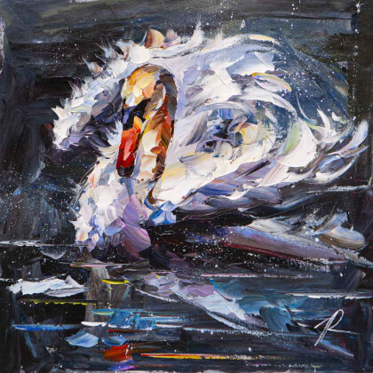 Лебедь. Танец на воде