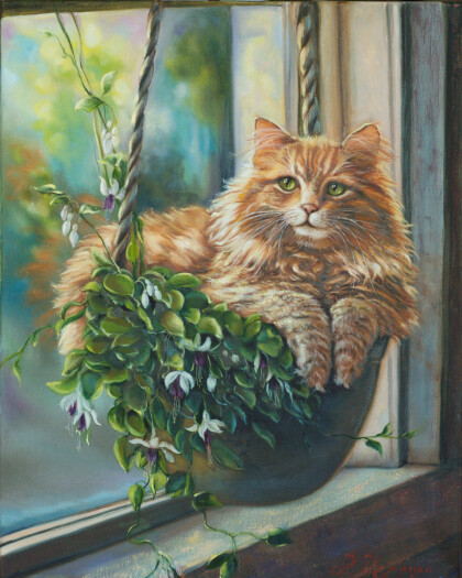 Мой рыжий котик