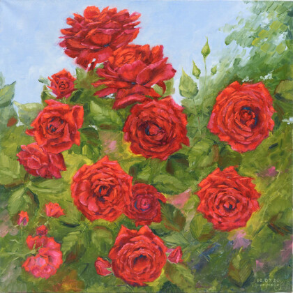 Розы-радости