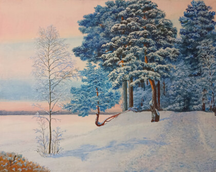 Январский день. Сестрорецкий разлив.