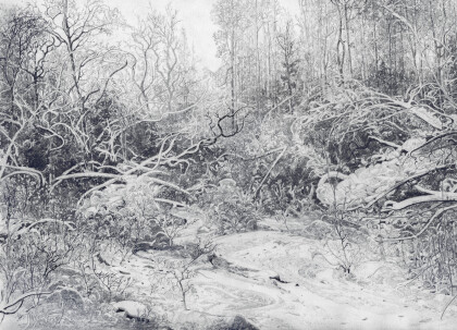 Зима в лесу