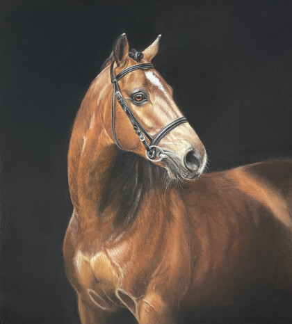 Портрет лошади