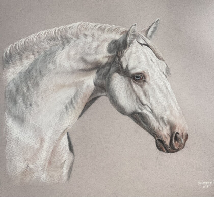 Портрет лошади