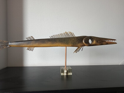 Взгляд сквозь рыбу