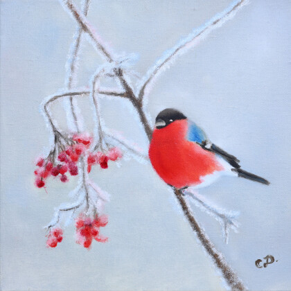 Снегирь на ветке