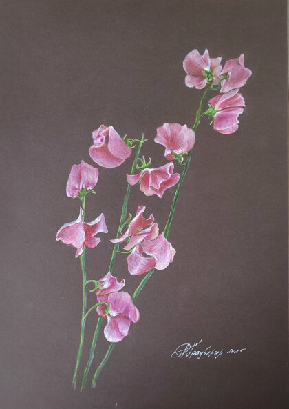 Розовые цветы