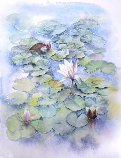 Пруд с кувшинками