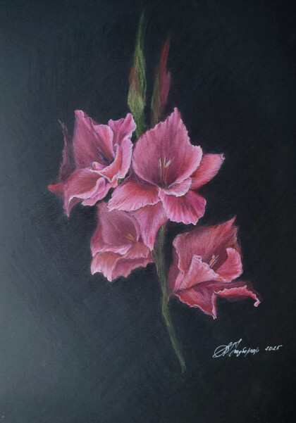 Гладиолусы