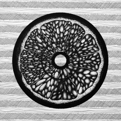 Картина черно-белая Цитрус в разрезе Апельсин Лимон Фрукт Виниловая пластинка