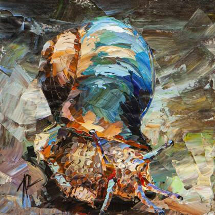 Улитка. Красота неспешного пути