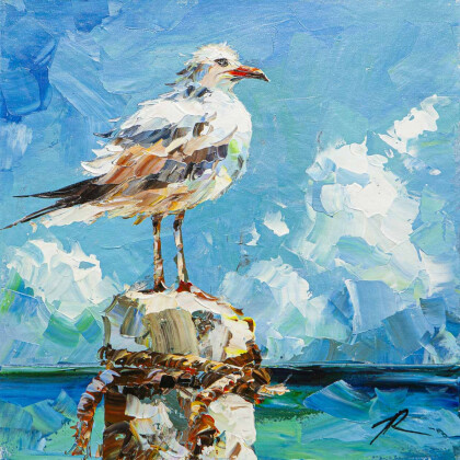 Чайка. Решительный взгляд