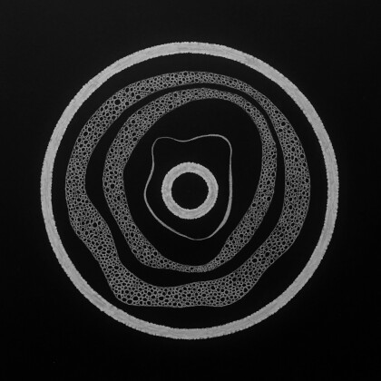 Ежедневный (3) Монохромная графика карандашом